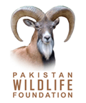 Pakistan_Wildlife_logo-1